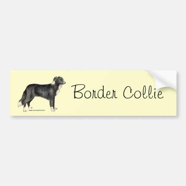 Border-Collie Autoaufkleber (Vorne)