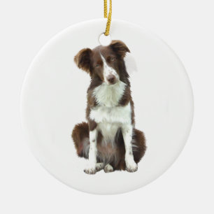 Border Collie (B) - braun und weiß Keramikornament