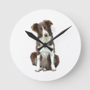 Border Collie (B) - braun und weiß Runde Wanduhr