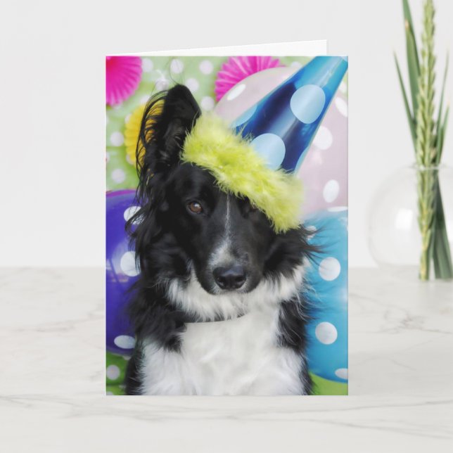 Border Collie Birthday Card Karte (Vorderseite)