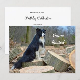 Border Collie Birthday Einladung