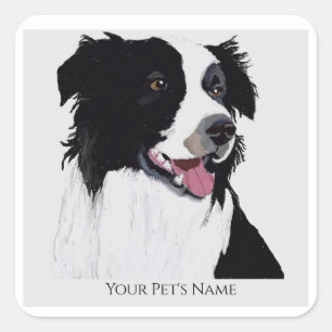 Border Collie Black and White Pet Dog - Quadratischer Aufkleber