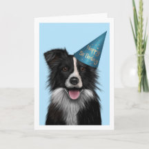 Border Collie Blue Birthday Grußkarte