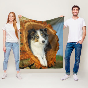 Border Collie Blue Merle Dog Niedliches Portrait F Fleecedecke