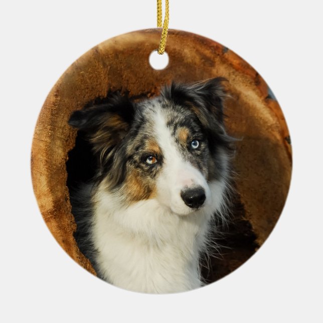 Border Collie Blue Merle Hund Decke Keramikornament (Vorne)