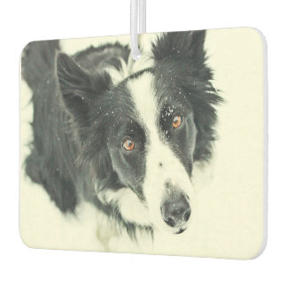 Border Collie Car Air Freshener Autolufterfrischer
