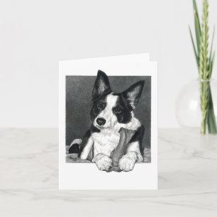 Border Collie Card - "Magpie" Karte