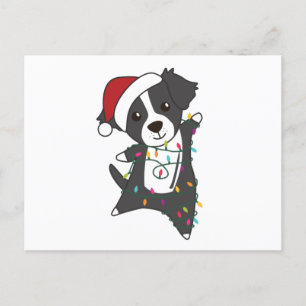 Border Collie Christmas Dog Wintertiere Hunde Postkarte