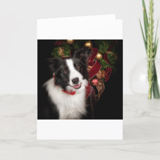 Border Collie Christmas Feiertagskarte