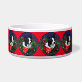 Border Collie Christmas Napf