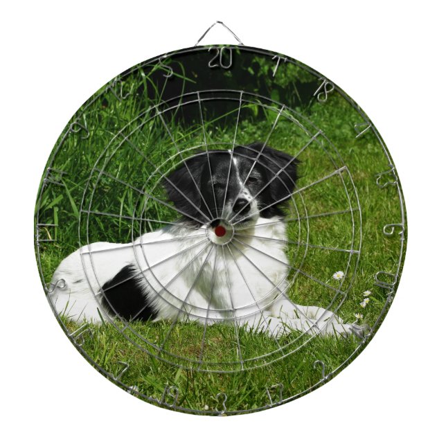 Border Collie Dartscheibe (vorne)
