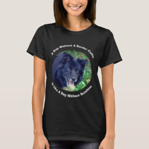 Border Collie Day Without T-Shirt