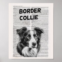 Border Collie Dictionary Page