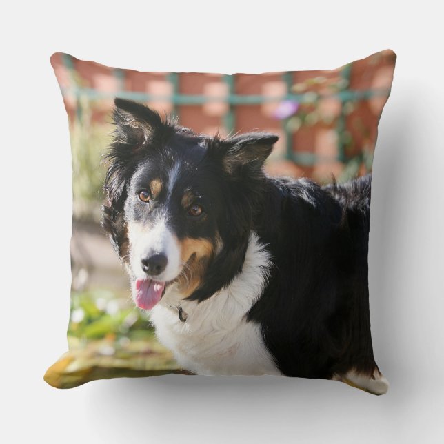 Border-Collie, die 1 keucht Kissen (Vorderseite)