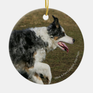 Border-Collie, die 1 laufen lässt Keramik Ornament