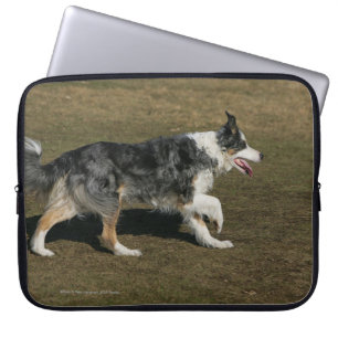 Border-Collie, die 1 laufen lässt Laptopschutzhülle