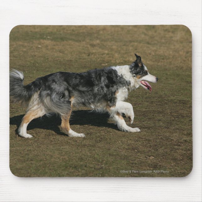 Border-Collie, die 1 laufen lässt Mousepad (Vorne)