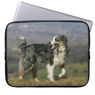 Border-Collie, die 2 keucht Laptopschutzhülle