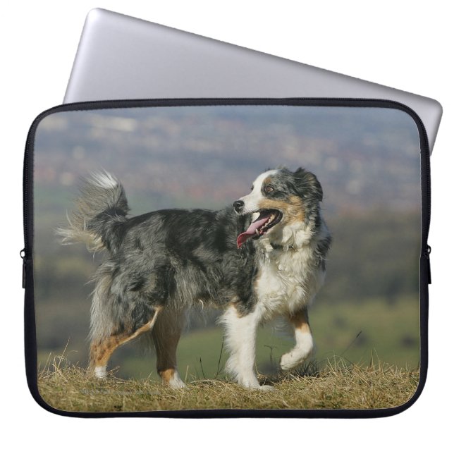 Border-Collie, die 2 keucht Laptopschutzhülle (Vorderseite)