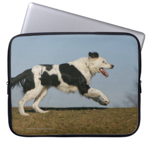 Border-Collie, die 2 laufen lässt Laptopschutzhülle