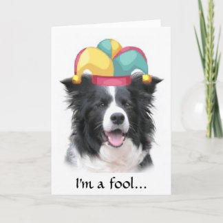 Border-Collie, die den Tag Card~April Dummkopfs Karte