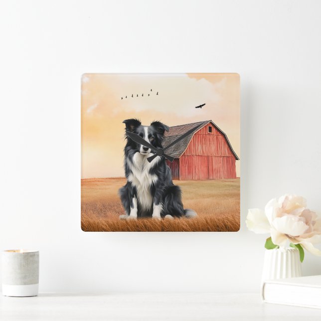 Border Collie Dog and Red Barn Ranch Quadratische Wanduhr (Zuhause)