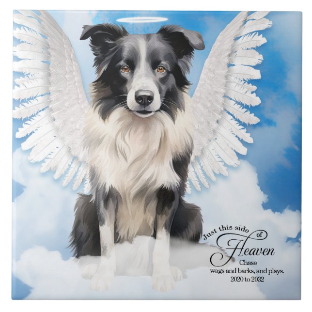 Border Collie Dog Angel Custom Pet Memorial Fliese (Vorderseite)