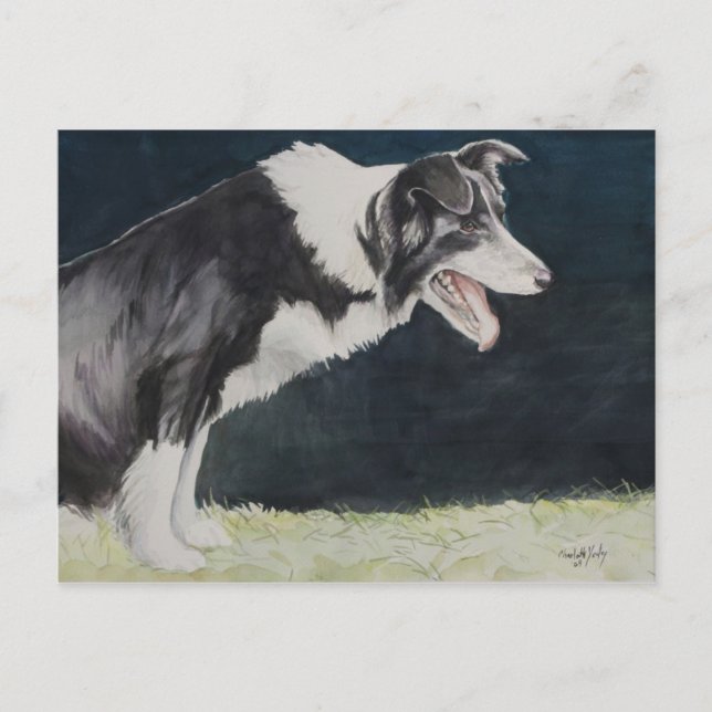 Border Collie Dog Art Postkarte (Vorderseite)