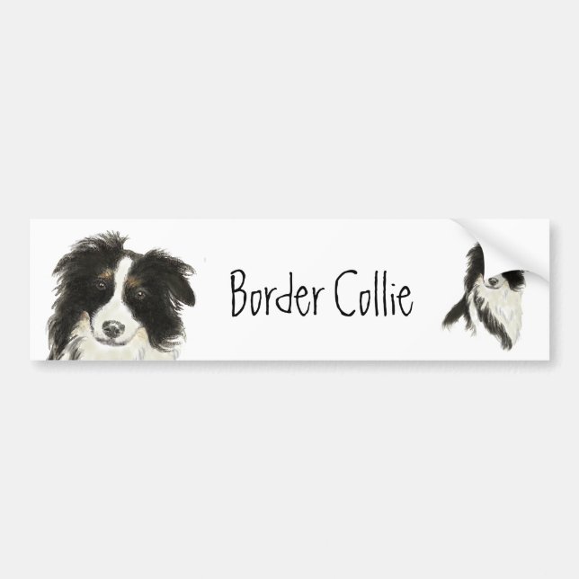 Border Collie Dog Autoaufkleber (Vorne)
