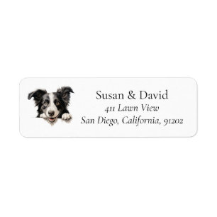 Border Collie Dog Breed Pet Lovers