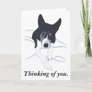 Border Collie Dog Denken Sie an Ihre Karten