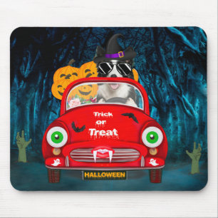 Border Collie Dog Driving Car Beängstigend Hallowe Mousepad