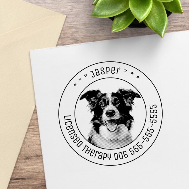 Border Collie Dog Foto Gummistempel (Von Creator hochgeladen)