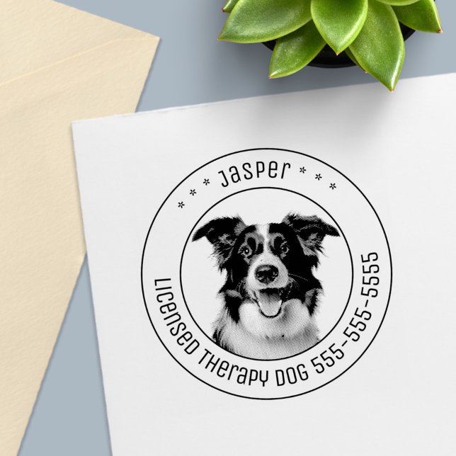 Border Collie Dog Foto Permastempel (Von Creator hochgeladen)