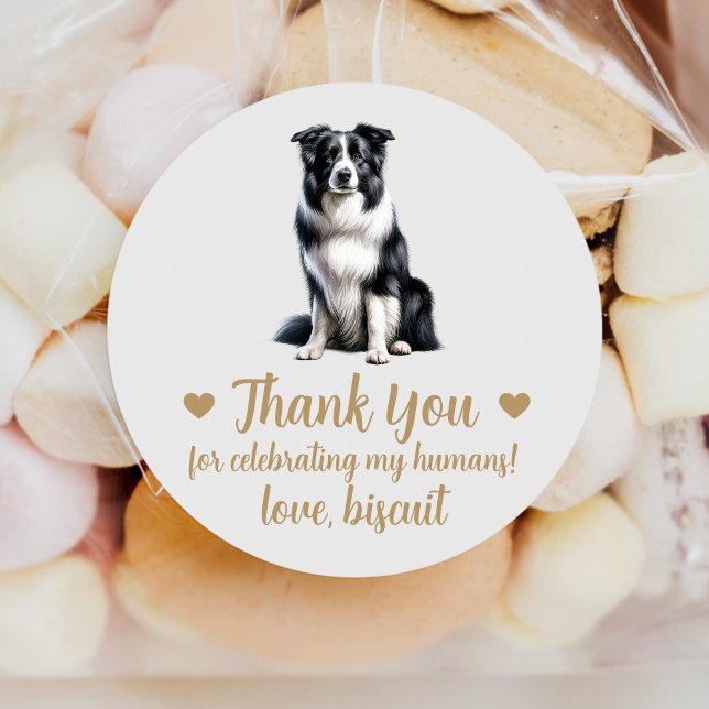 Border Collie Dog Gastgeschenk Hochzeit Stickers (Von Creator hochgeladen)