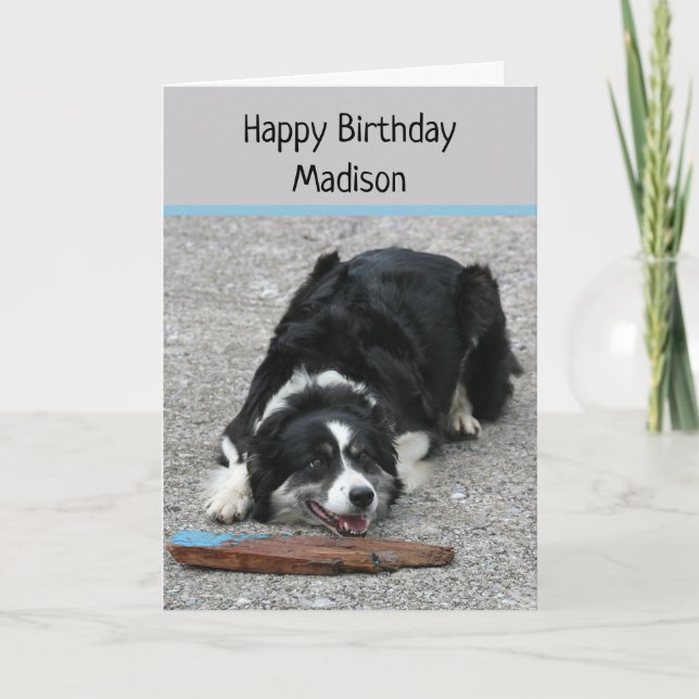 Border Collie Dog, Happy Birthday, personalisiert Karte (Vorderseite)