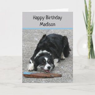 Border Collie Dog, Happy Birthday, personalisiert Karte
