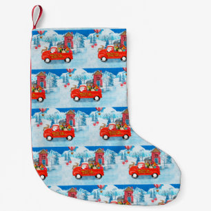 Border Collie Dog in Christmas Delivery LKW Schnee Kleiner Weihnachtsstrumpf