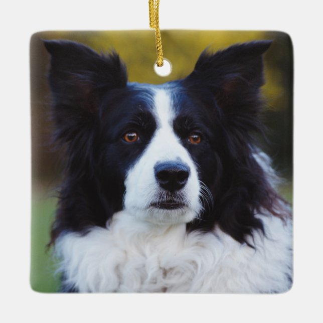 Border Collie Dog Keramikornament (Vorderseite)