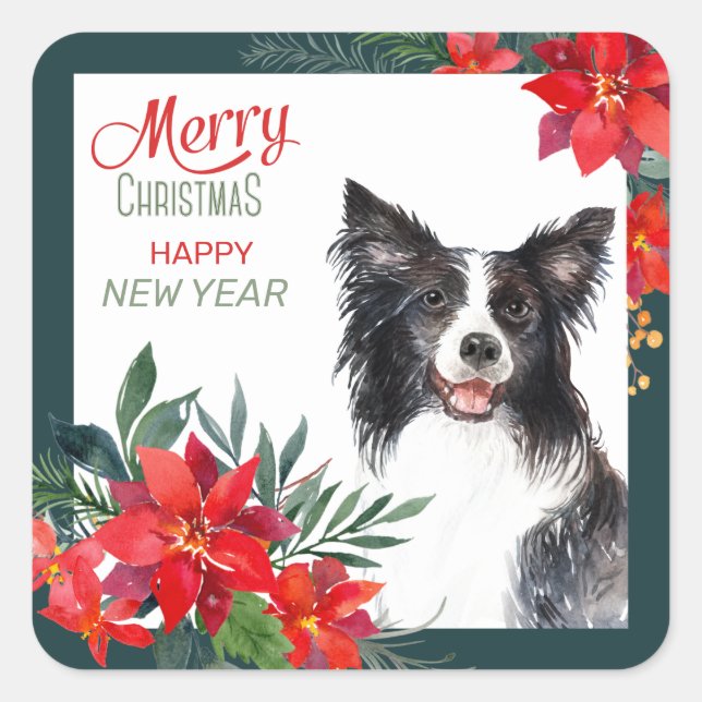 Border Collie Dog Poinsettia Bouquet Weihnachten Quadratischer Aufkleber (Vorderseite)