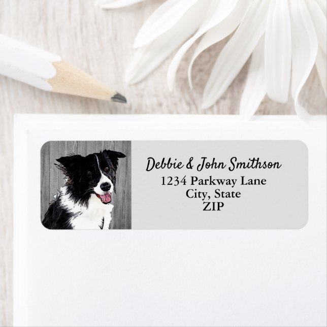 Border Collie Dog Rücksendeadresse Animal Niedlich (Insitu)