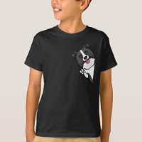 Border Collie Dog