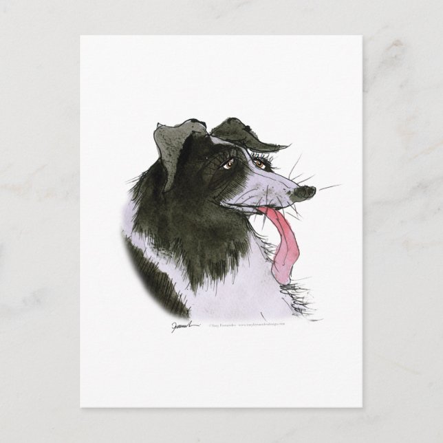 Border Collie dog, tony fernandes Postkarte (Vorderseite)