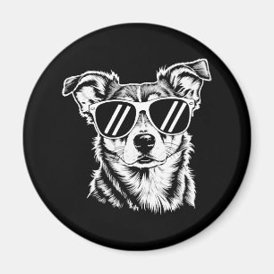 Border Collie Dog Tragen einer Sonnenbrille Vintag Magnet