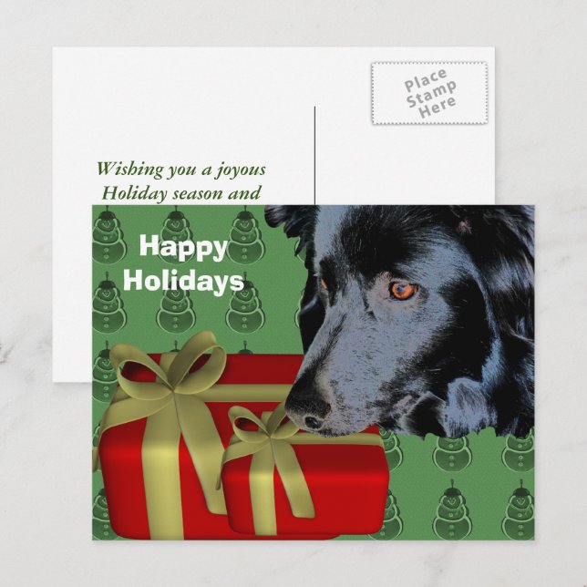 Border Collie Dog Weihnachtsfeiertag Postkarte (Vorne/Hinten)