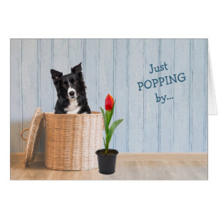 Border Collie Dog Wicker Korb Geburtstagskarte