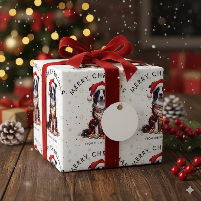 Border Collie Dog Wrapped In Christmas Light  Geschenkpapier (Von Creator hochgeladen)