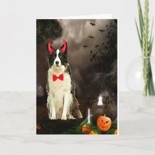 Border Collie Dog zu Halloween-Kostüm Karte