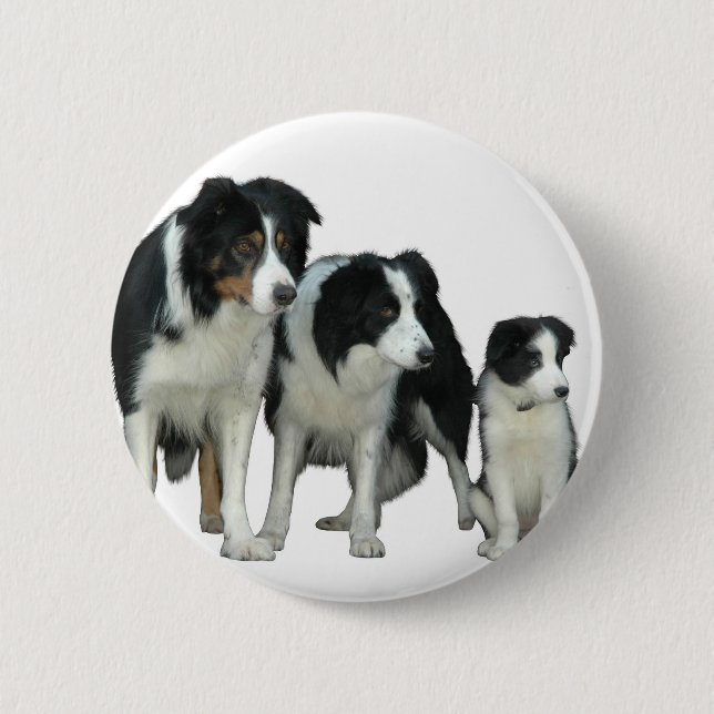 Border Collie Dogs Button (Vorderseite)
