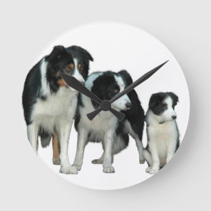 Border Collie Dogs Runde Wanduhr
